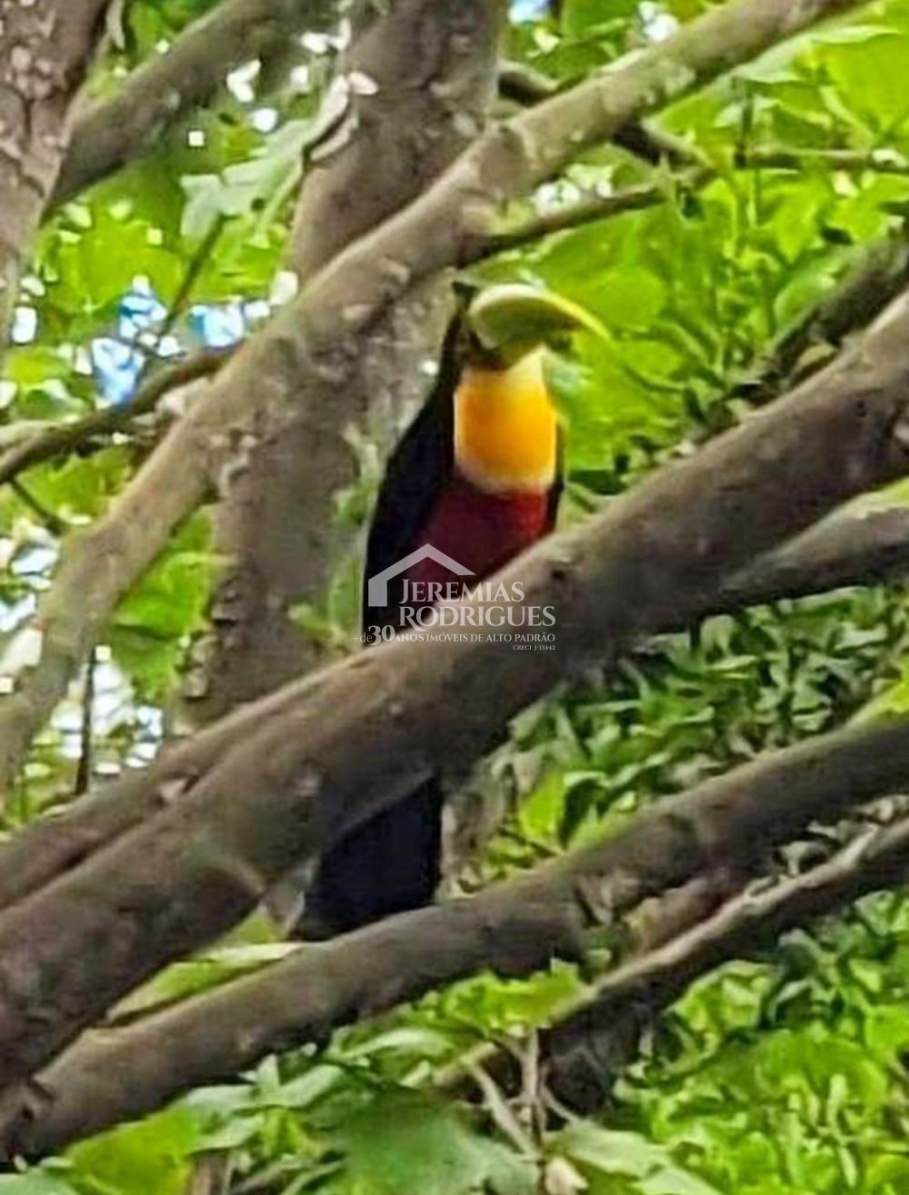 Comprar Casa / Condom&iacute;nio em Campos do Jord&atilde;o R$ 830.000,00 - Foto 19