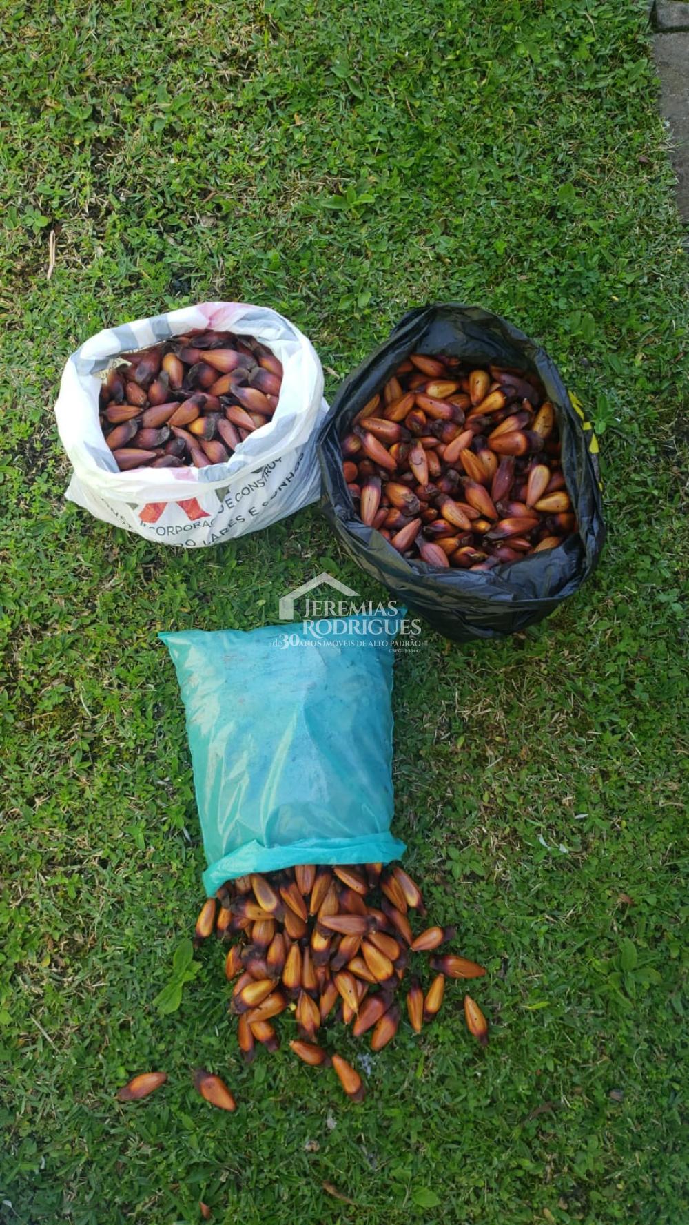 Comprar Casa / Condom&iacute;nio em Campos do Jord&atilde;o R$ 830.000,00 - Foto 24