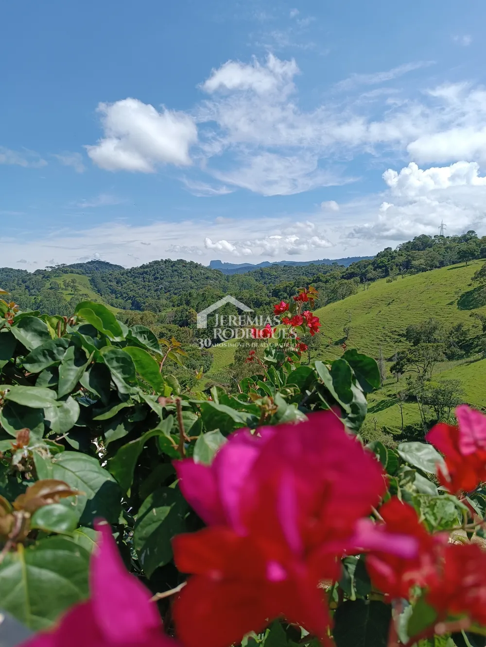 Alugar Casa / Padr&atilde;o em Santo Ant&ocirc;nio do Pinhal R$ 5.000,00 - Foto 25