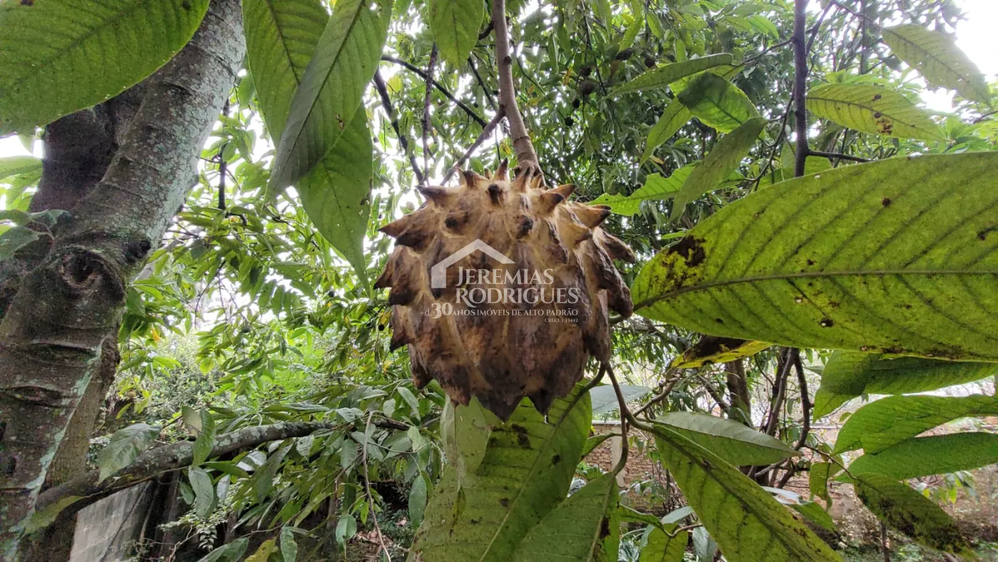 Comprar Terreno / Condom&iacute;nio em Pindamonhangaba R$ 980.000,00 - Foto 5