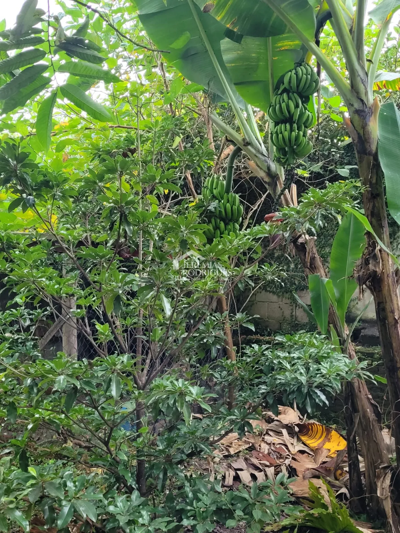 Comprar Terreno / Condom&iacute;nio em Pindamonhangaba R$ 980.000,00 - Foto 4