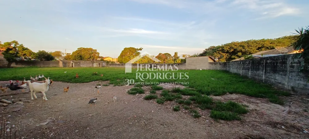 Comprar Terreno / &Aacute;rea em Pindamonhangaba R$ 3.433.200,00 - Foto 4