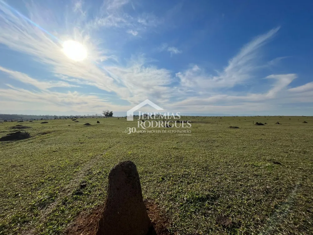 Comprar Terreno / &Aacute;rea em Pindamonhangaba R$ 4.000.000,00 - Foto 5