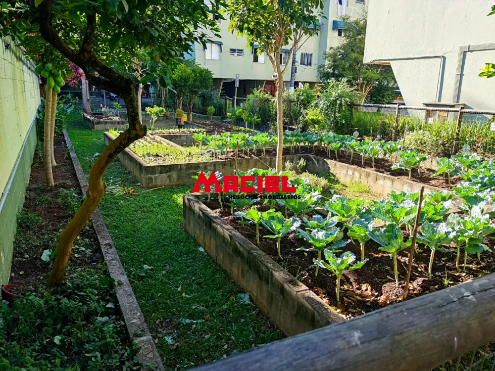 Alugar Apartamento / Padr&atilde;o em S&atilde;o Jos&eacute; dos Campos R$ 1.167,06 - Foto 13