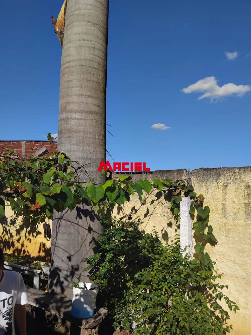 Comprar Rural / Ch&aacute;cara em S&atilde;o Jos&eacute; dos Campos R$ 789.000,00 - Foto 12