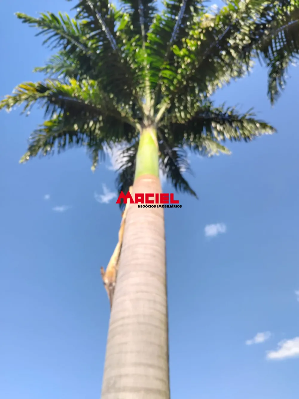 Comprar Rural / Ch&aacute;cara em S&atilde;o Jos&eacute; dos Campos R$ 789.000,00 - Foto 48