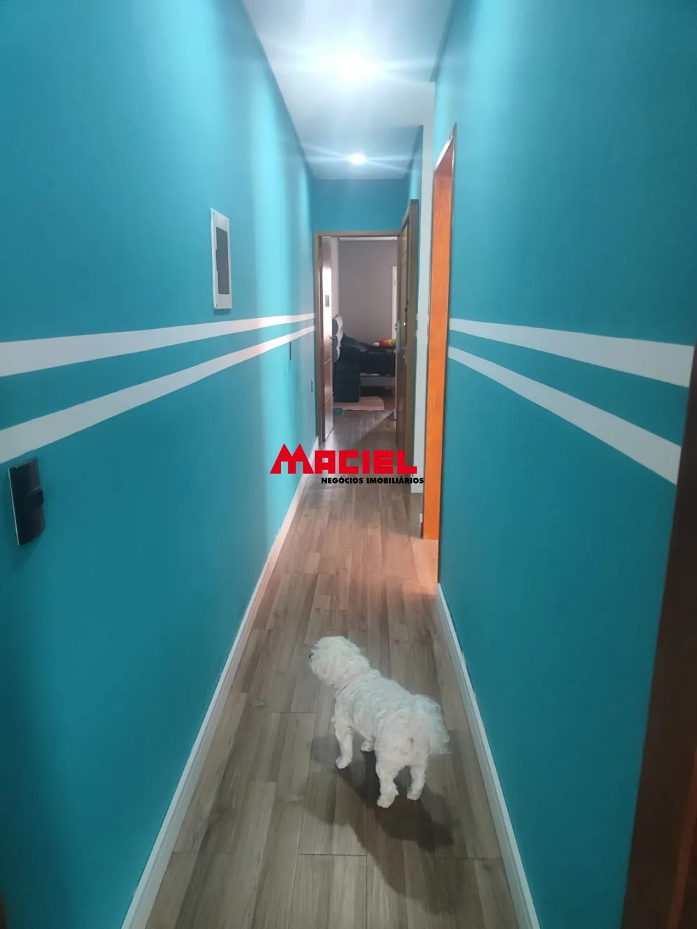 Comprar Casa / Padr&atilde;o em S&atilde;o Jos&eacute; dos Campos R$ 670.000,00 - Foto 11