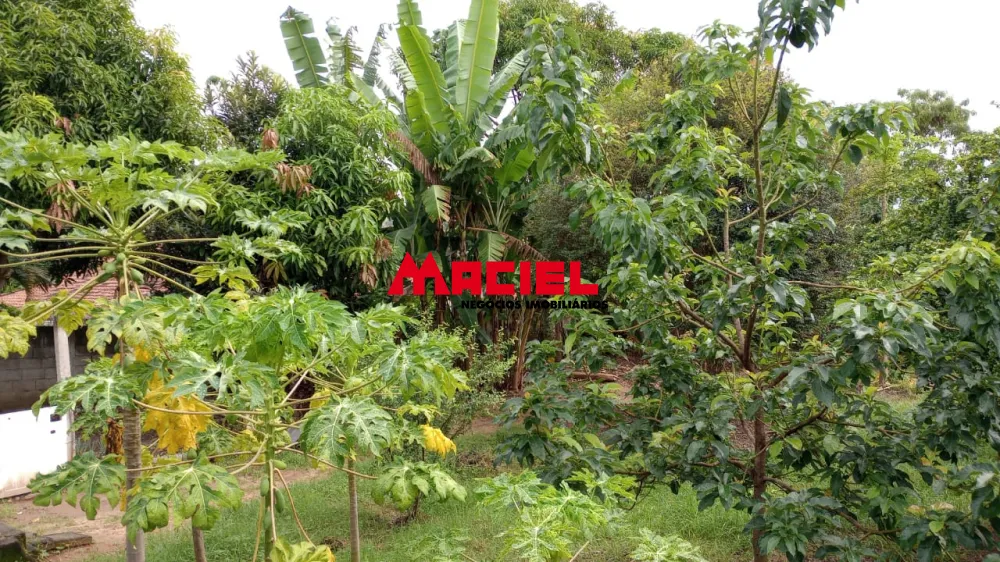 Comprar Rural / Ch&aacute;cara em S&atilde;o Jos&eacute; dos Campos R$ 450.000,00 - Foto 13