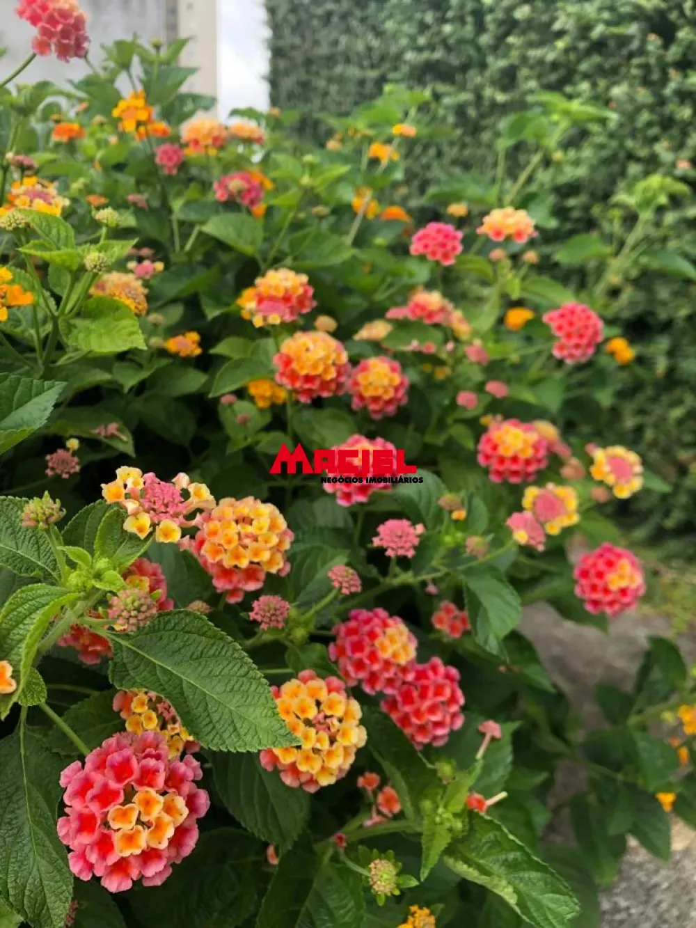 Comprar Casa / Sobrado em Jacare&iacute; R$ 1.330.000,00 - Foto 4