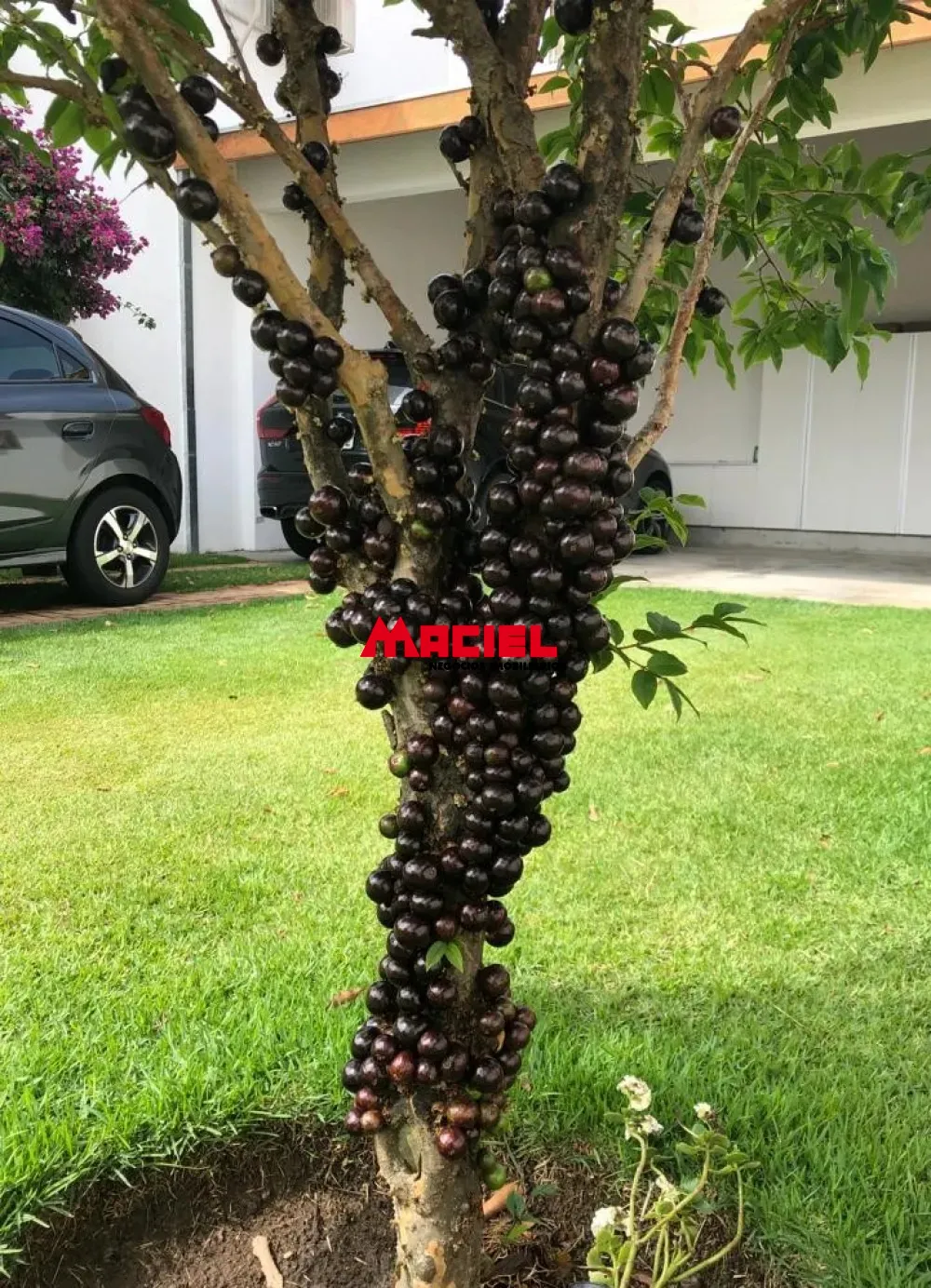 Comprar Casa / Sobrado em Jacare&iacute; R$ 1.330.000,00 - Foto 8