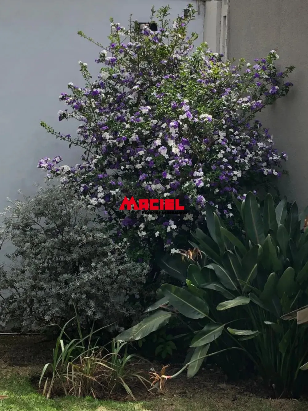 Comprar Casa / Sobrado em Jacare&iacute; R$ 1.330.000,00 - Foto 14