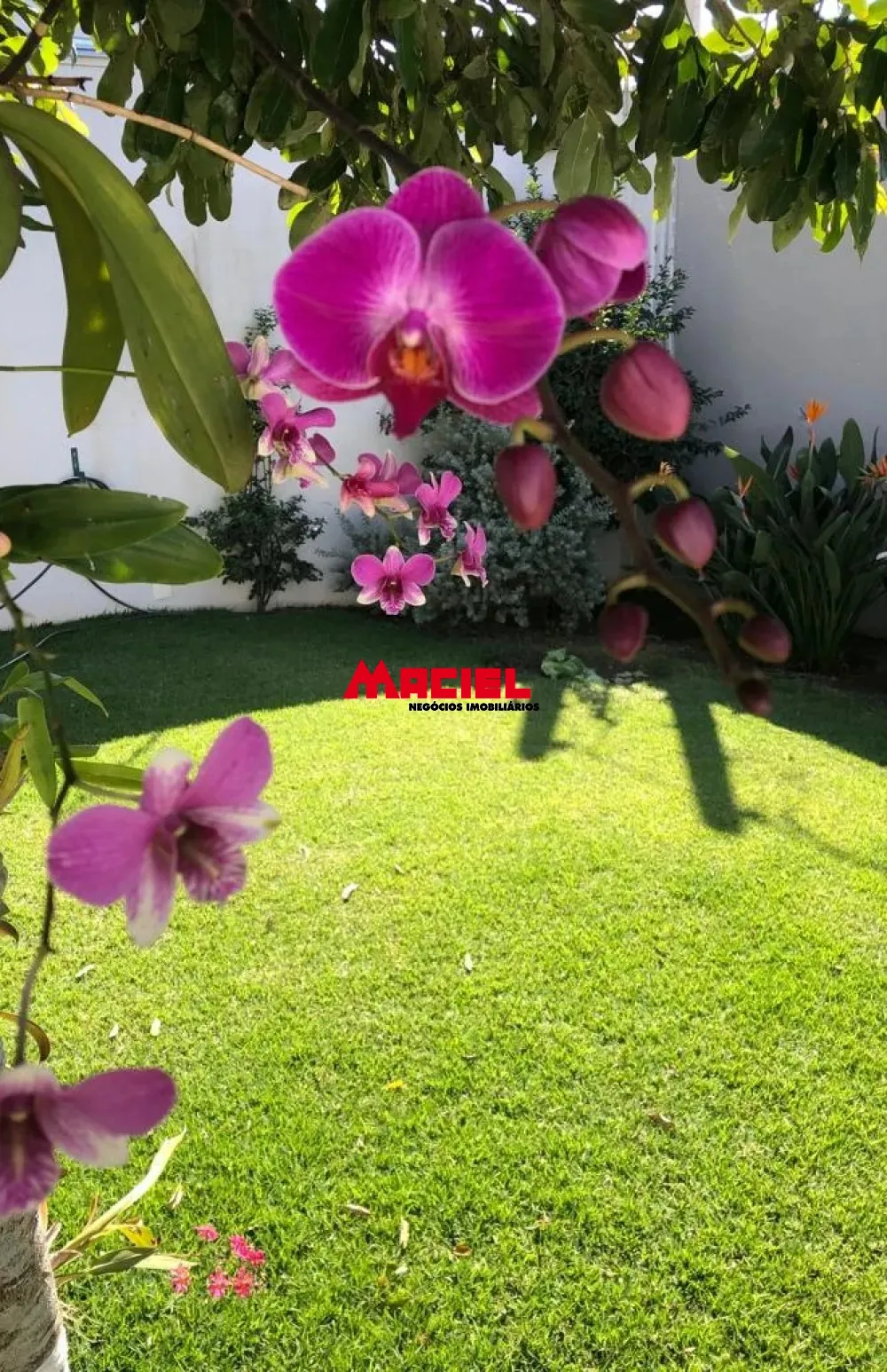Comprar Casa / Sobrado em Jacare&iacute; R$ 1.330.000,00 - Foto 21