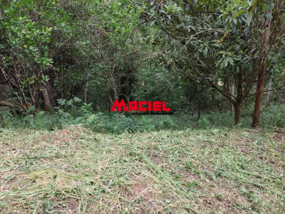 Comprar Rural / Ch&aacute;cara em Jambeiro R$ 160.000,00 - Foto 5