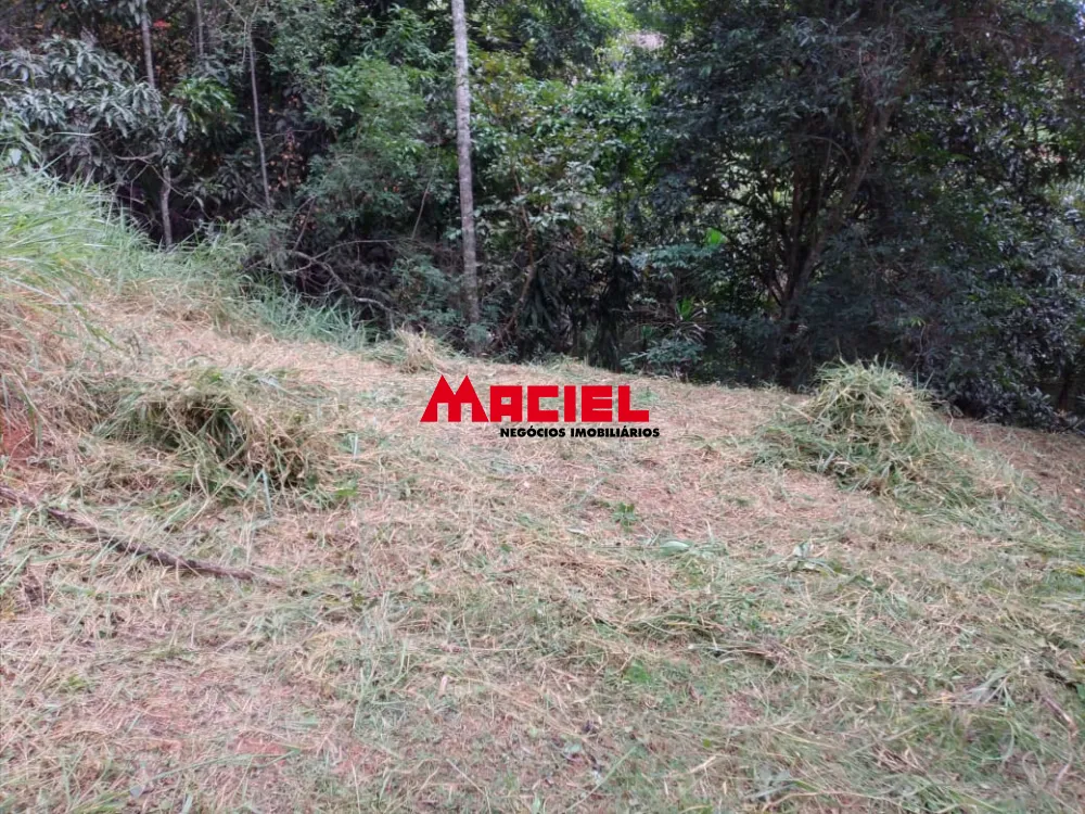 Comprar Rural / Ch&aacute;cara em Jambeiro R$ 160.000,00 - Foto 8