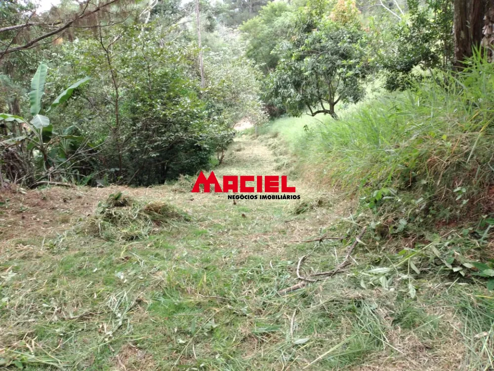 Comprar Rural / Ch&aacute;cara em Jambeiro R$ 160.000,00 - Foto 13