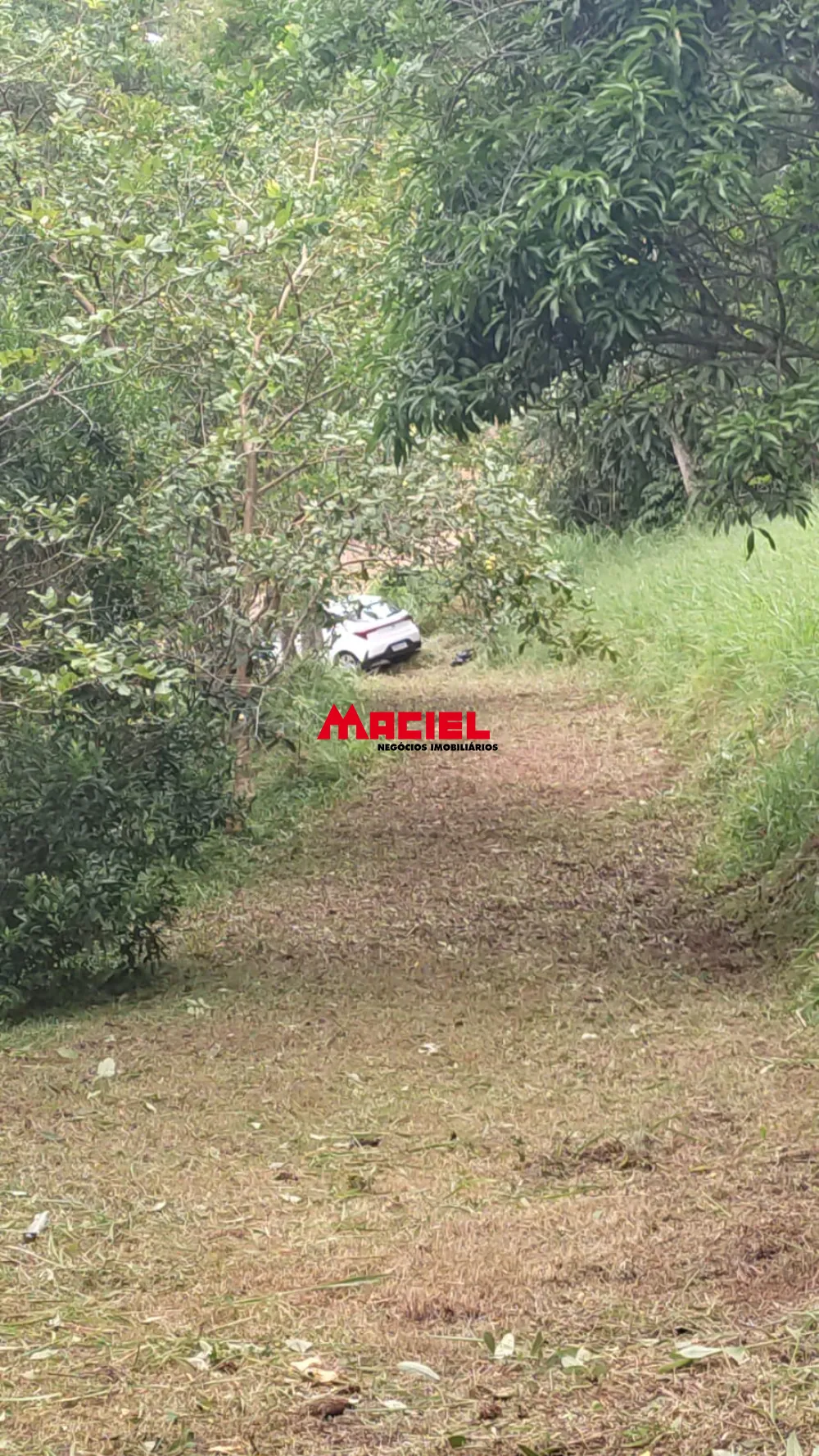 Comprar Rural / Ch&aacute;cara em Jambeiro R$ 160.000,00 - Foto 17