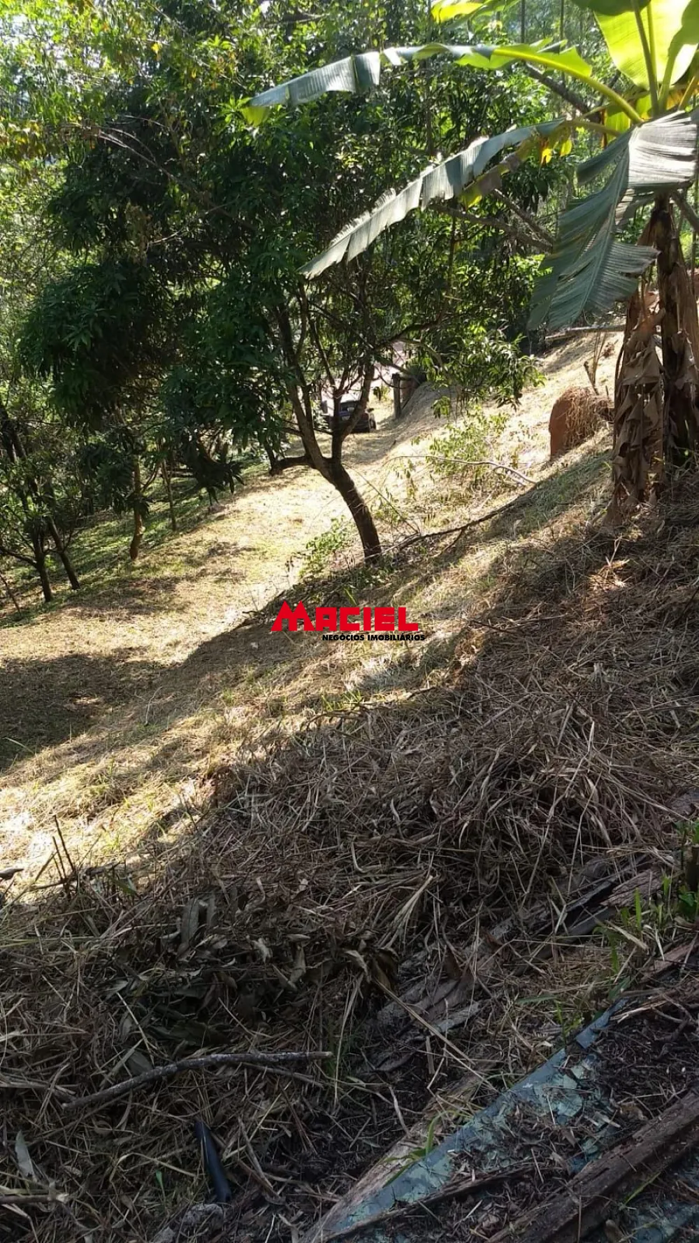 Comprar Rural / Ch&aacute;cara em Jambeiro R$ 160.000,00 - Foto 18