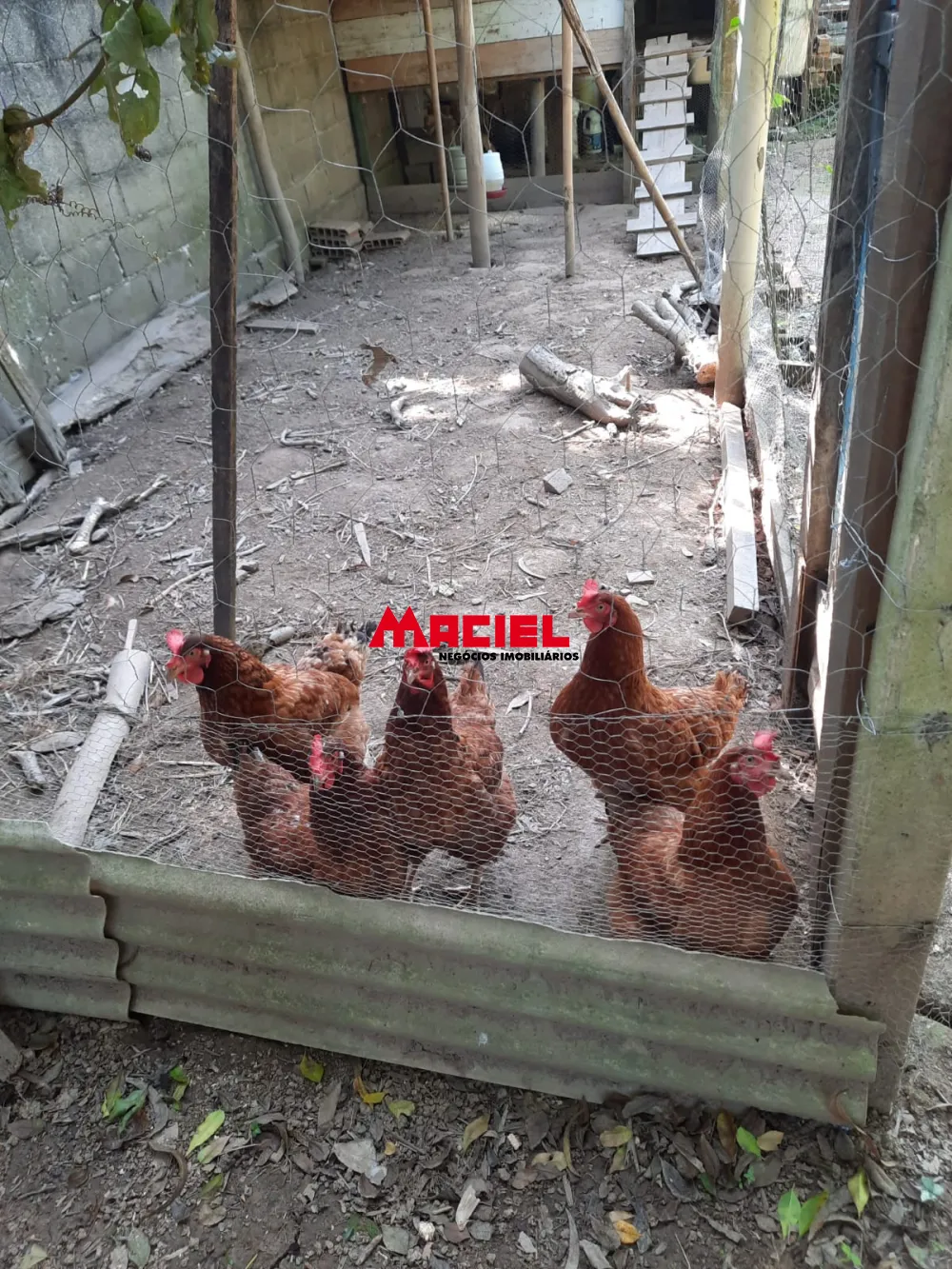 Comprar Rural / Ch&aacute;cara em S&atilde;o Jos&eacute; dos Campos R$ 1.350.000,00 - Foto 40