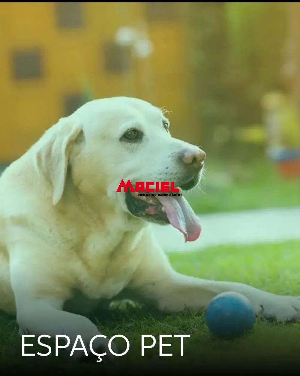 Comprar Terreno / Residencial em Taubat&eacute; R$ 1.617.100,00 - Foto 2