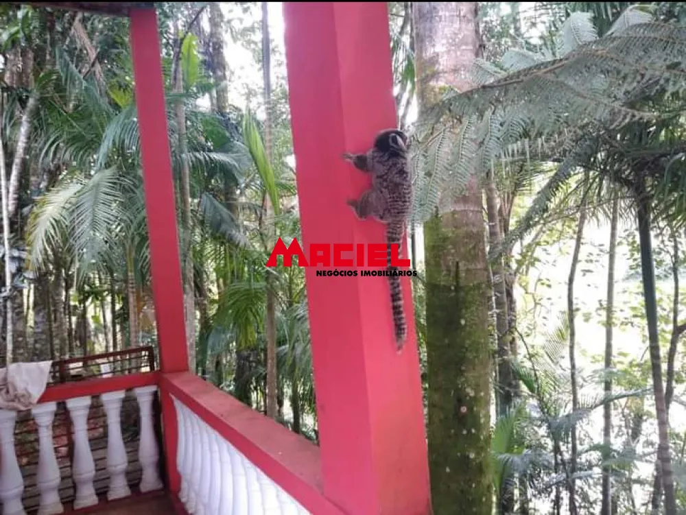 Comprar Rural / Ch&aacute;cara em S&atilde;o Jos&eacute; dos Campos R$ 700.000,00 - Foto 8