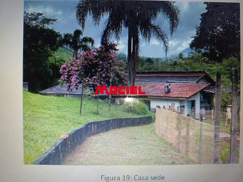 Comprar Rural / Fazenda, S&iacute;tio e Ch&aacute;cara em s&atilde;o francisco xavier R$ 1.430.000,00 - Foto 5