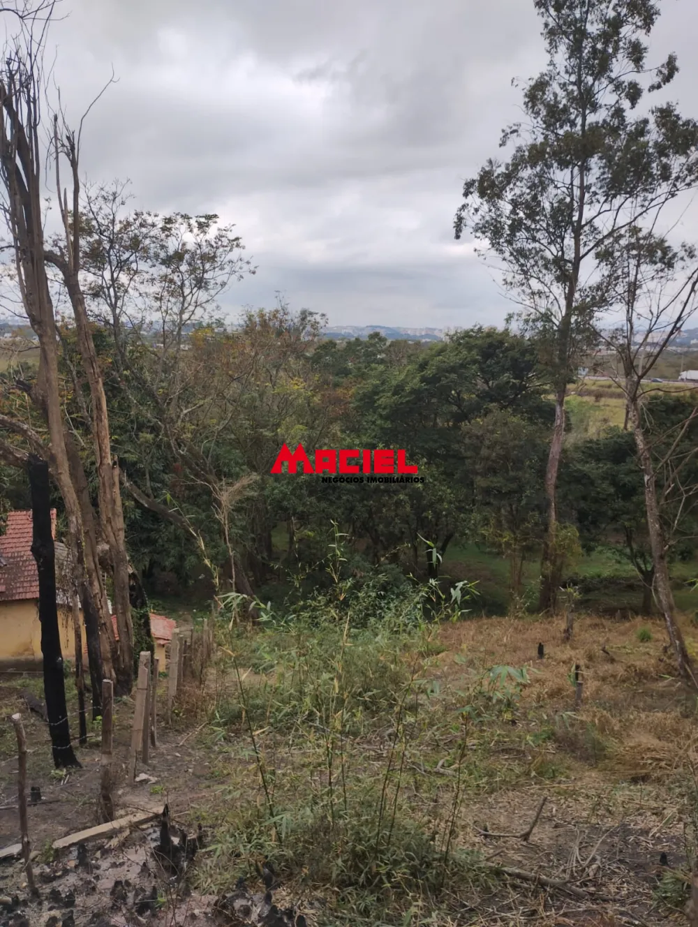 Comprar Terreno / &Aacute;rea em Jacare&iacute; R$ 5.830.000,00 - Foto 5