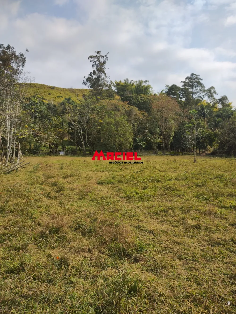 Comprar Terreno / &Aacute;rea em Jacare&iacute; R$ 5.830.000,00 - Foto 7