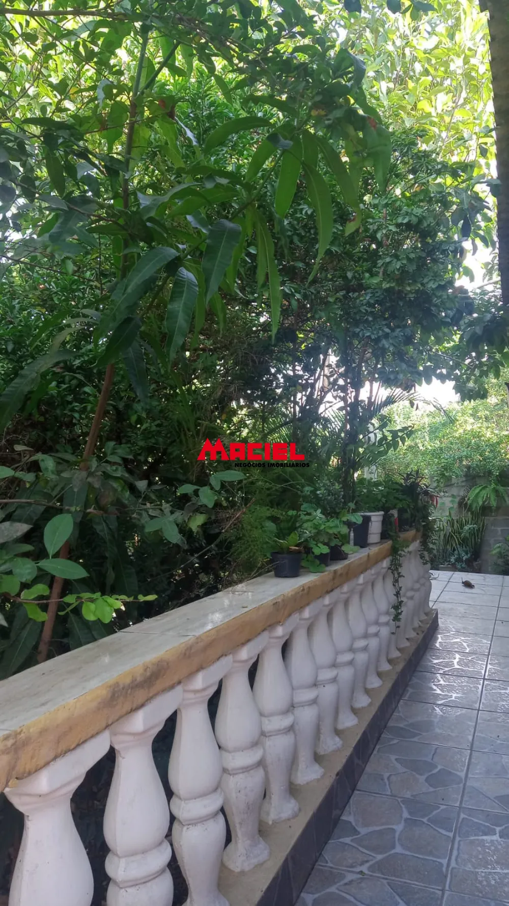 Comprar Rural / Ch&aacute;cara em S&atilde;o Jos&eacute; dos Campos R$ 480.000,00 - Foto 8