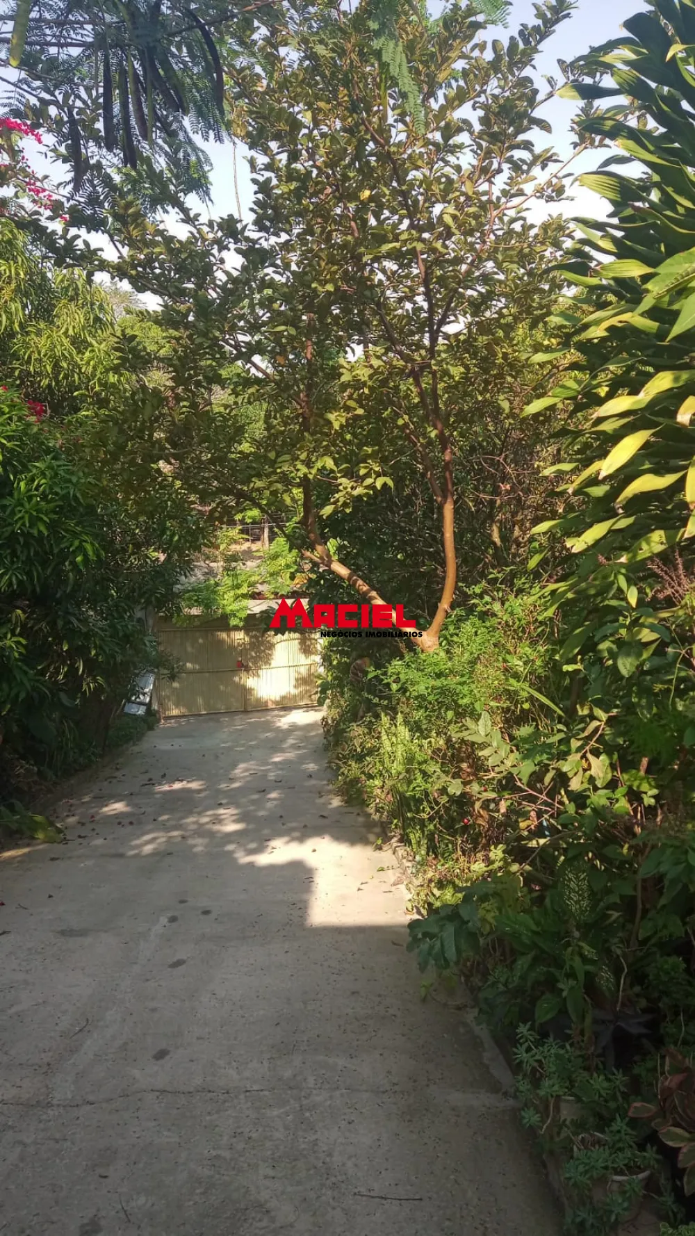 Comprar Rural / Ch&aacute;cara em S&atilde;o Jos&eacute; dos Campos R$ 480.000,00 - Foto 23