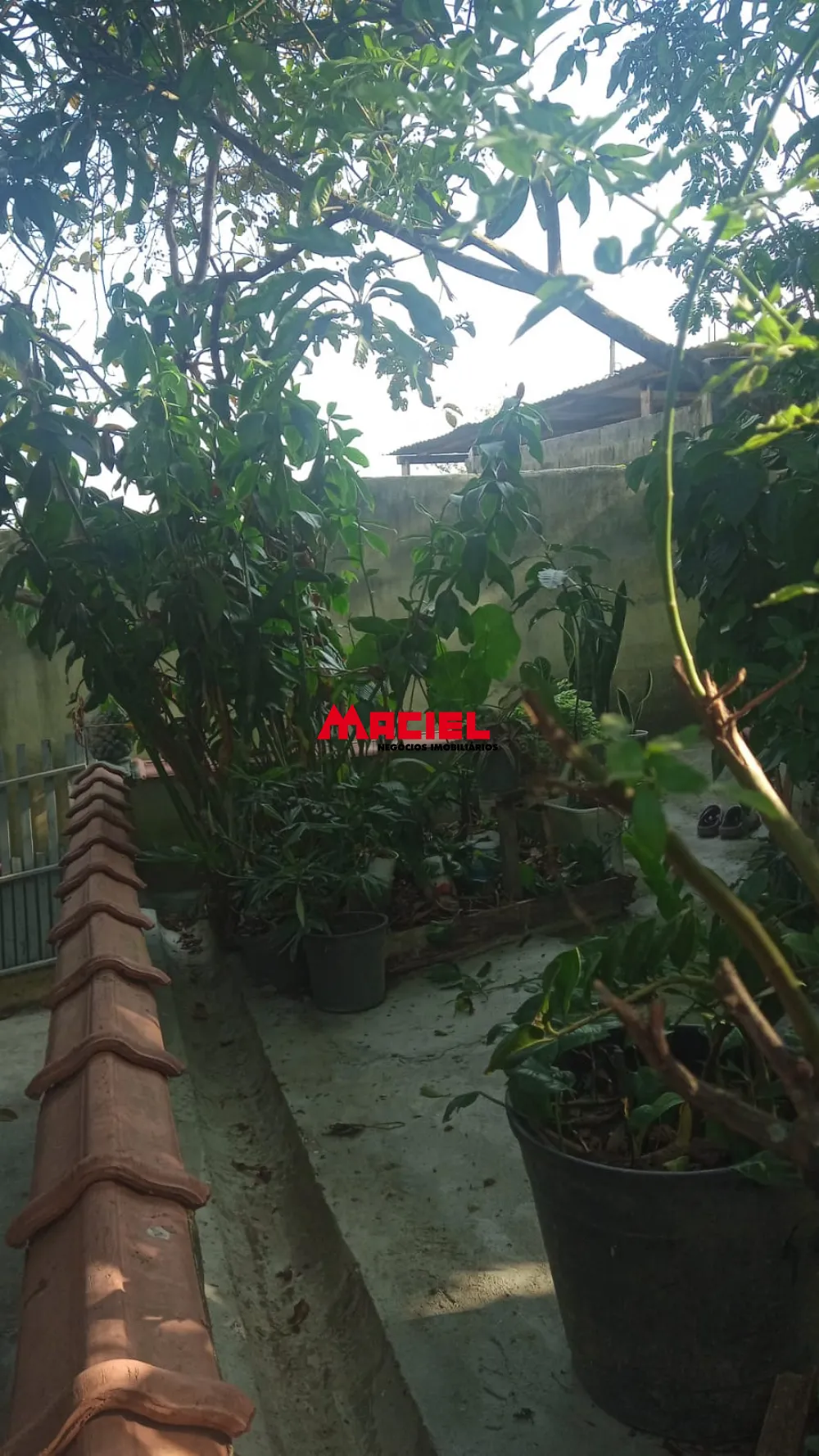 Comprar Rural / Ch&aacute;cara em S&atilde;o Jos&eacute; dos Campos R$ 480.000,00 - Foto 25