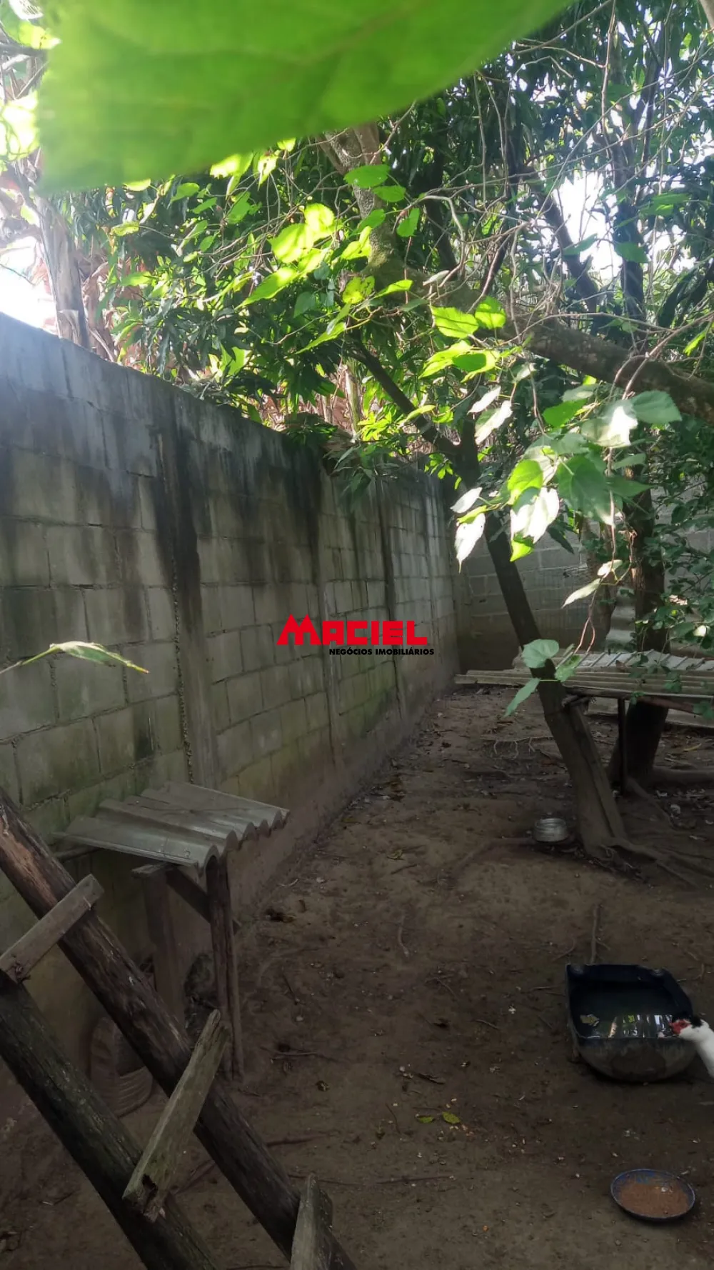 Comprar Rural / Ch&aacute;cara em S&atilde;o Jos&eacute; dos Campos R$ 480.000,00 - Foto 26