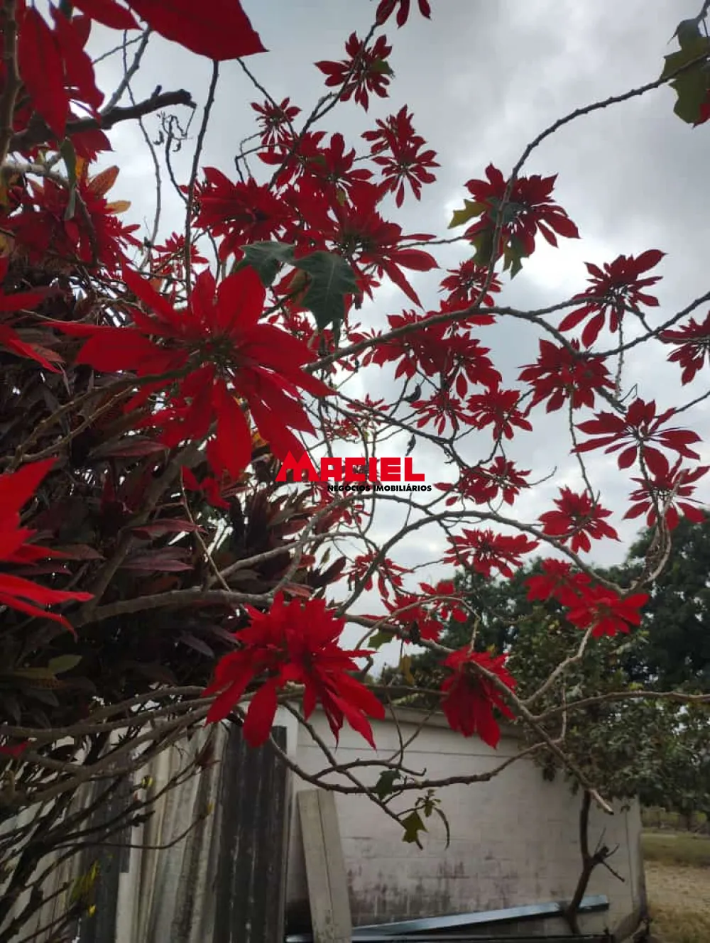 Comprar Comercial / Terreno em Jacare&iacute; R$ 12.500.000,00 - Foto 1