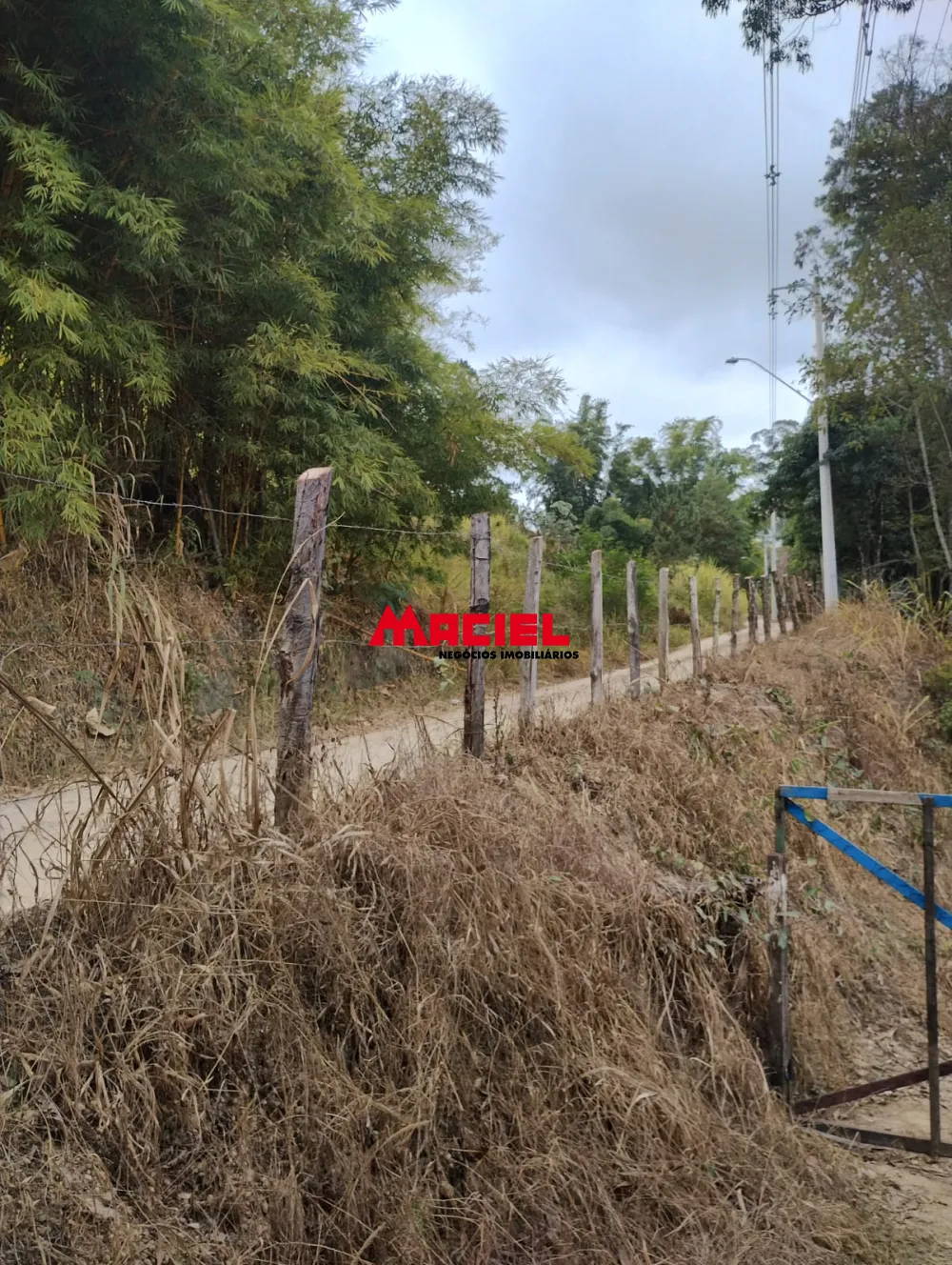 Comprar Comercial / Terreno em Jacare&iacute; R$ 12.500.000,00 - Foto 5