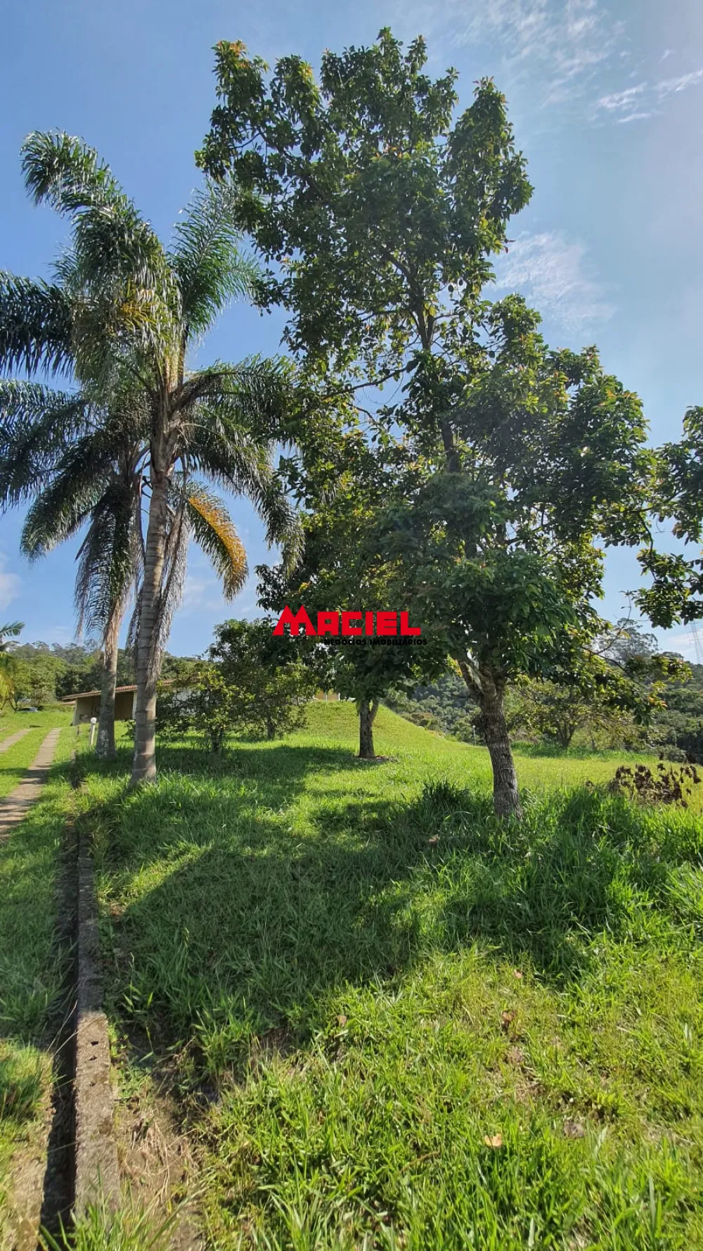 Comprar Rural / S&iacute;tio em Mogi das Cruzes R$ 9.900.000,00 - Foto 14
