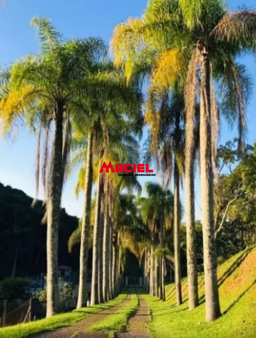 Comprar Terreno / Condom&iacute;nio em S&atilde;o Jos&eacute; dos Campos R$ 2.200.000,00 - Foto 15