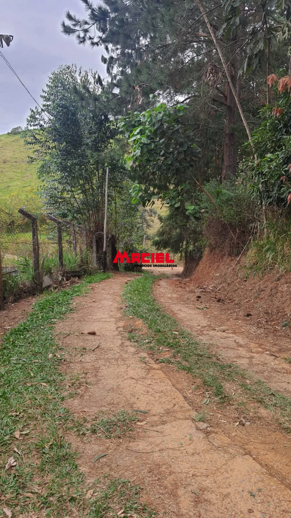 Comprar Rural / Fazenda, S&iacute;tio e Ch&aacute;cara em Monteiro Lobato R$ 1.280.000,00 - Foto 19