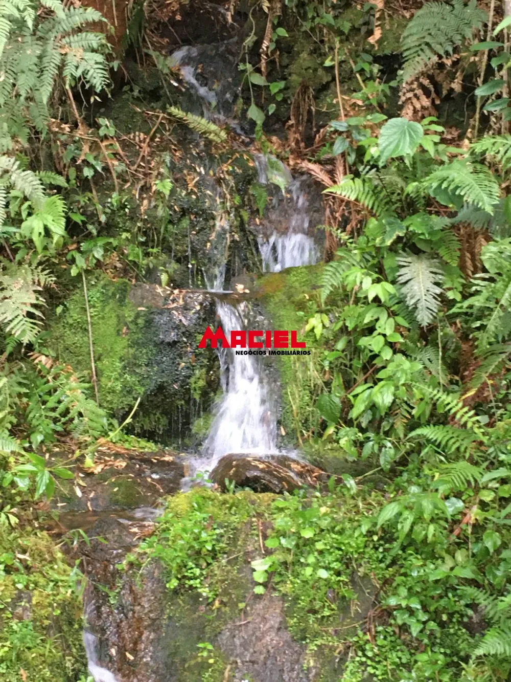 Comprar Rural / S&iacute;tio em Sapuca&iacute;-Mirim R$ 5.950.000,00 - Foto 2