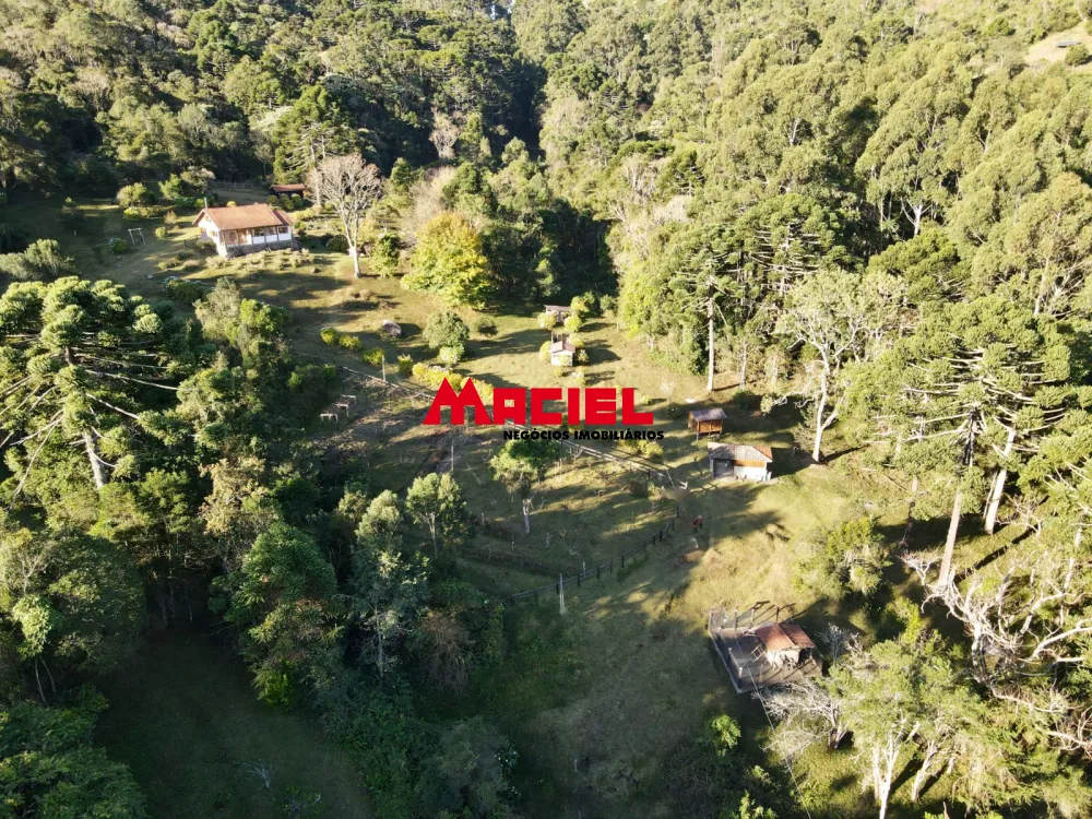 Comprar Rural / S&iacute;tio em Sapuca&iacute;-Mirim R$ 5.950.000,00 - Foto 6
