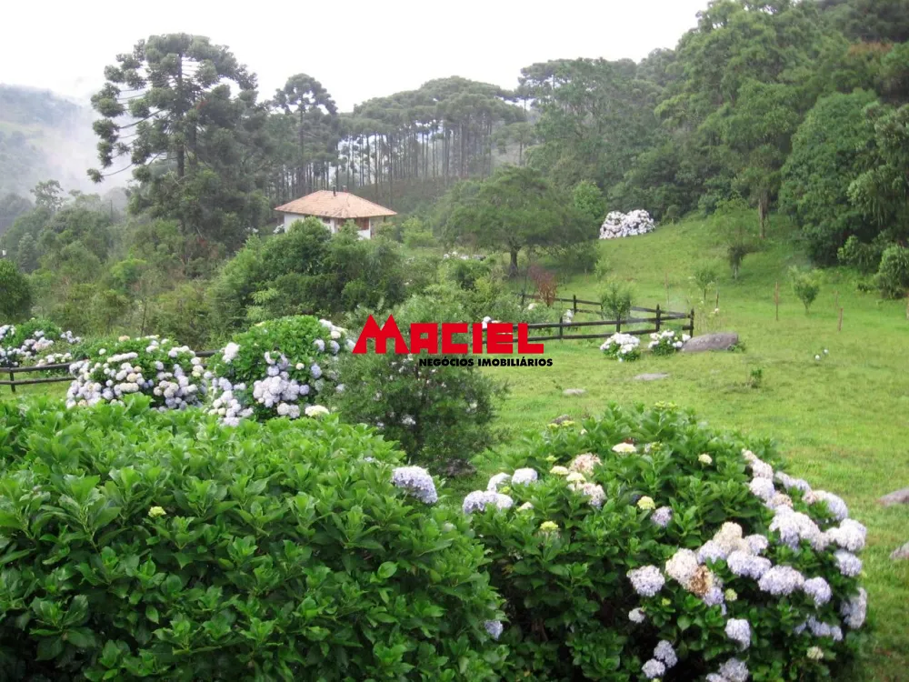 Comprar Rural / S&iacute;tio em Sapuca&iacute;-Mirim R$ 5.950.000,00 - Foto 16