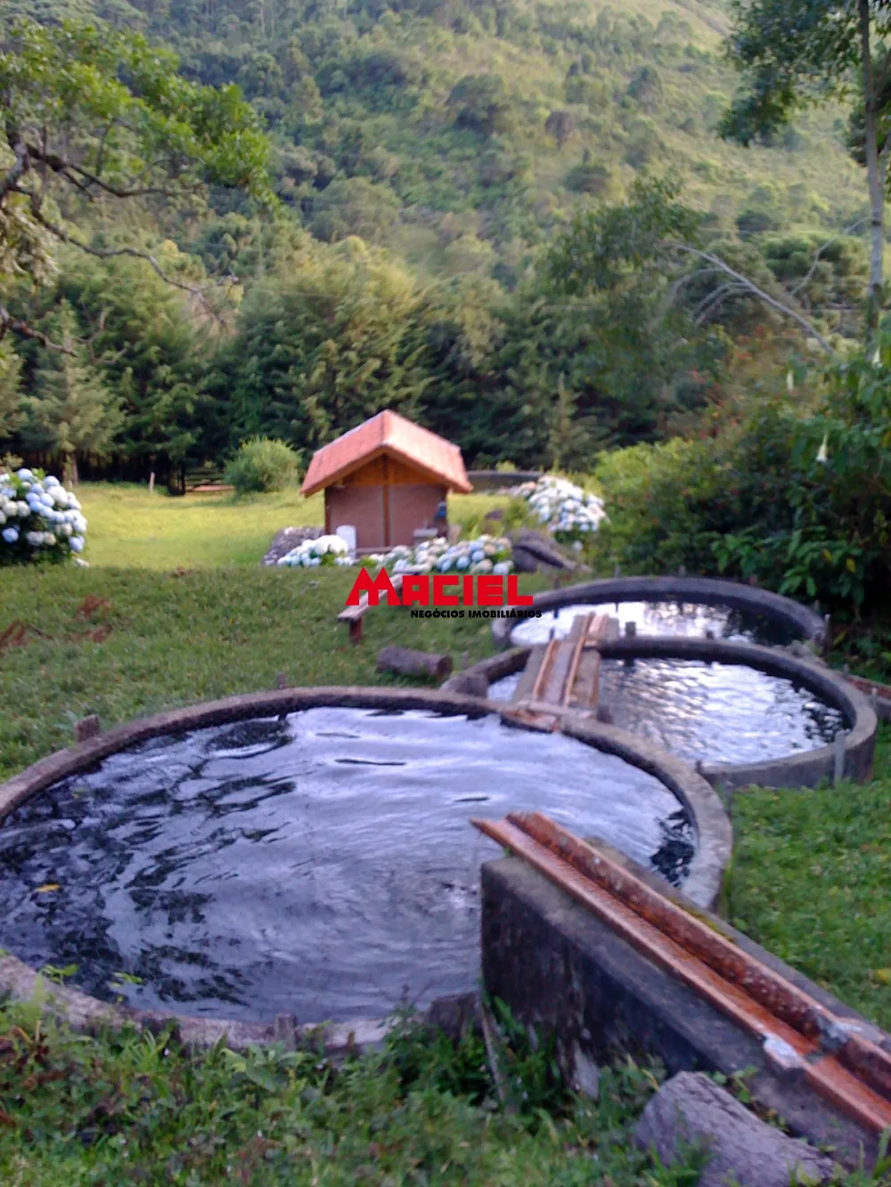 Comprar Rural / S&iacute;tio em Sapuca&iacute;-Mirim R$ 5.950.000,00 - Foto 17