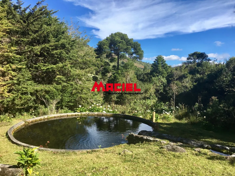 Comprar Rural / S&iacute;tio em Sapuca&iacute;-Mirim R$ 5.950.000,00 - Foto 20