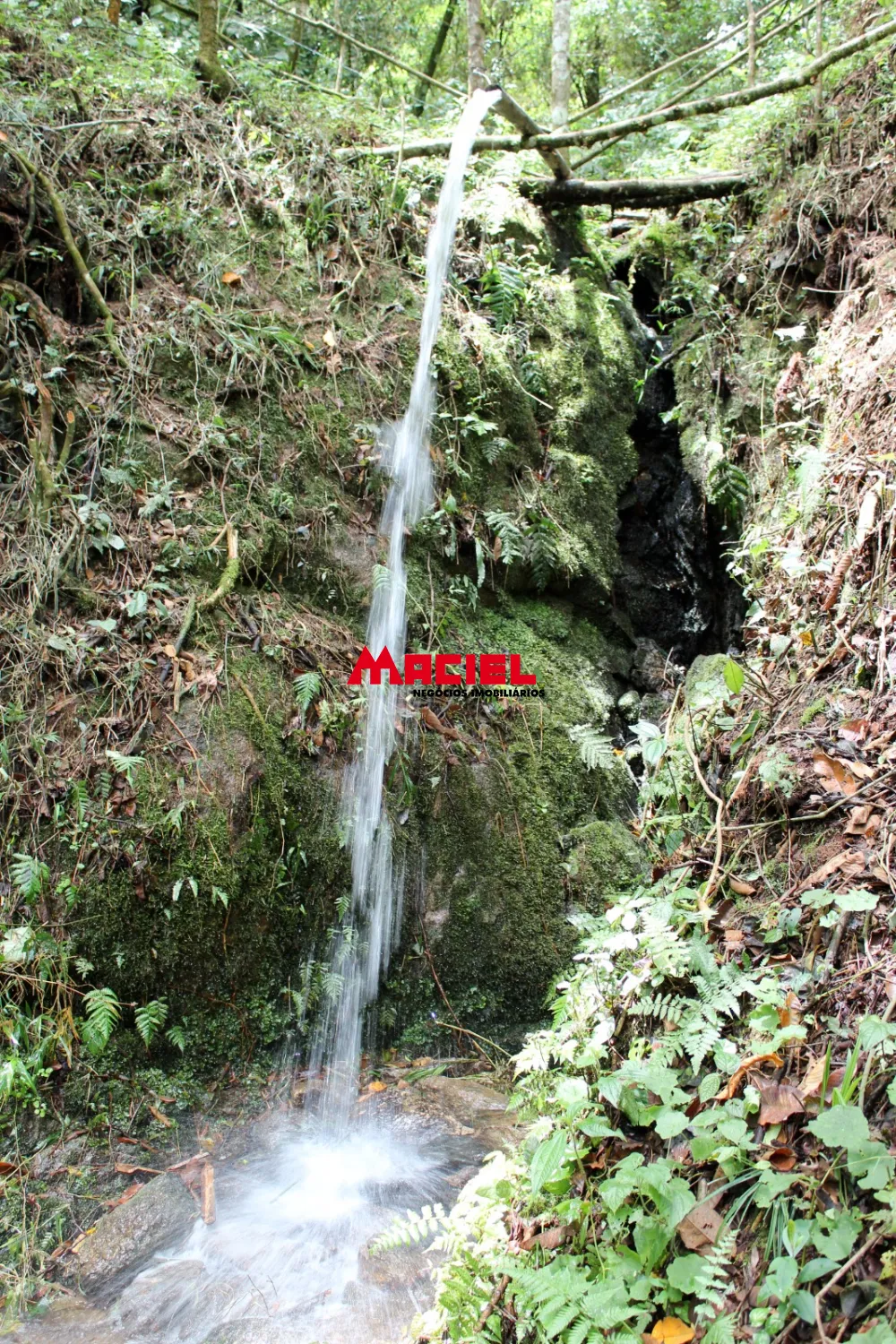 Comprar Rural / S&iacute;tio em Sapuca&iacute;-Mirim R$ 5.950.000,00 - Foto 25