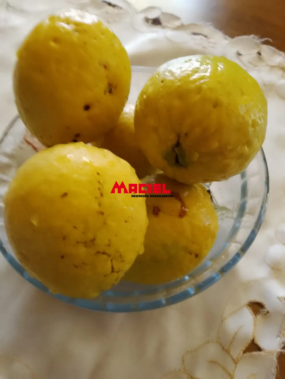 Comprar Rural / Ch&aacute;cara em S&atilde;o Jos&eacute; dos Campos R$ 720.000,00 - Foto 14