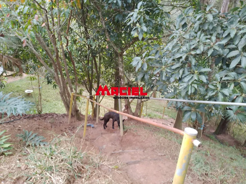 Comprar Rural / Ch&aacute;cara em S&atilde;o Jos&eacute; dos Campos R$ 720.000,00 - Foto 15