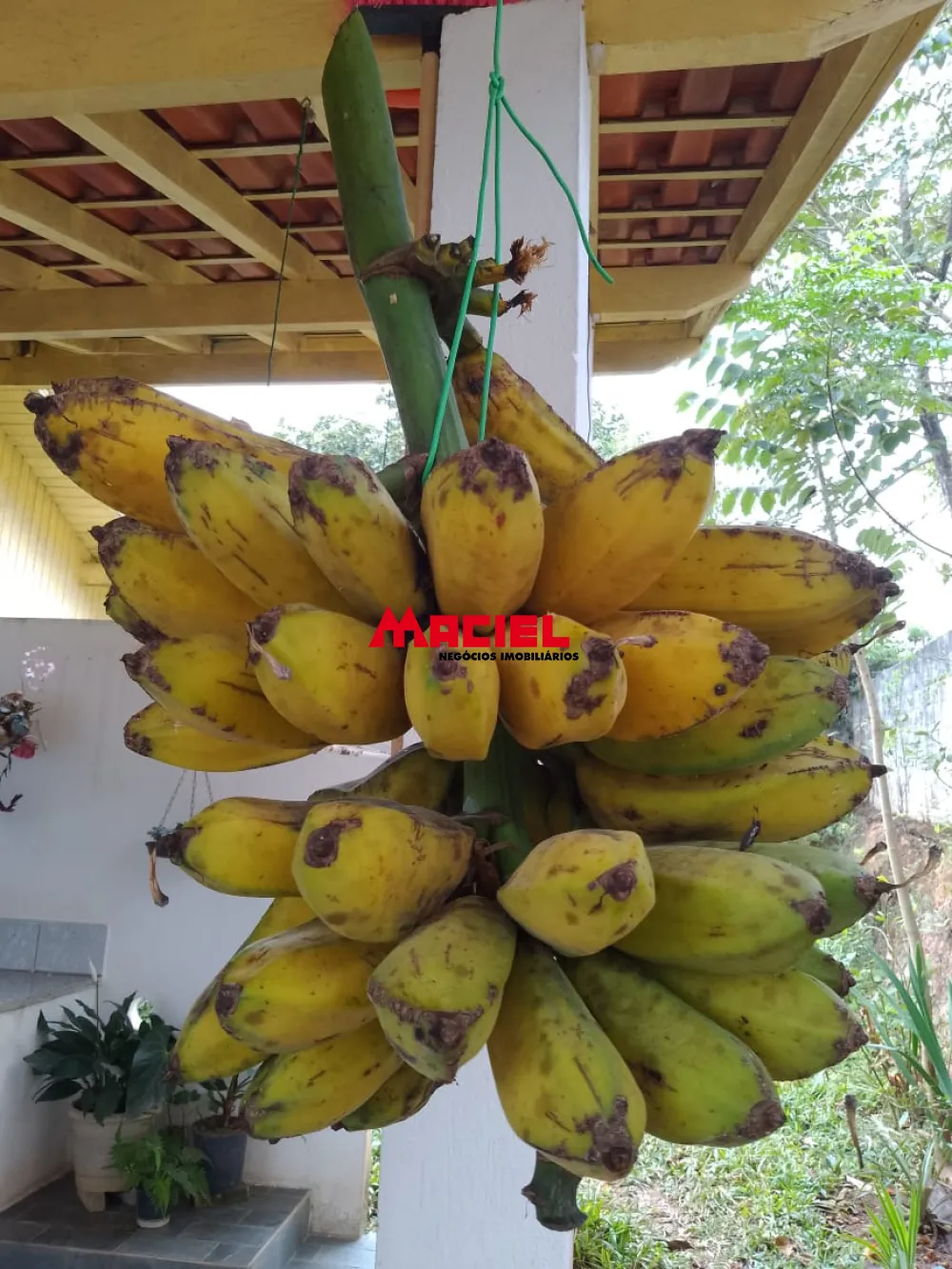 Comprar Rural / Ch&aacute;cara em S&atilde;o Jos&eacute; dos Campos R$ 720.000,00 - Foto 20