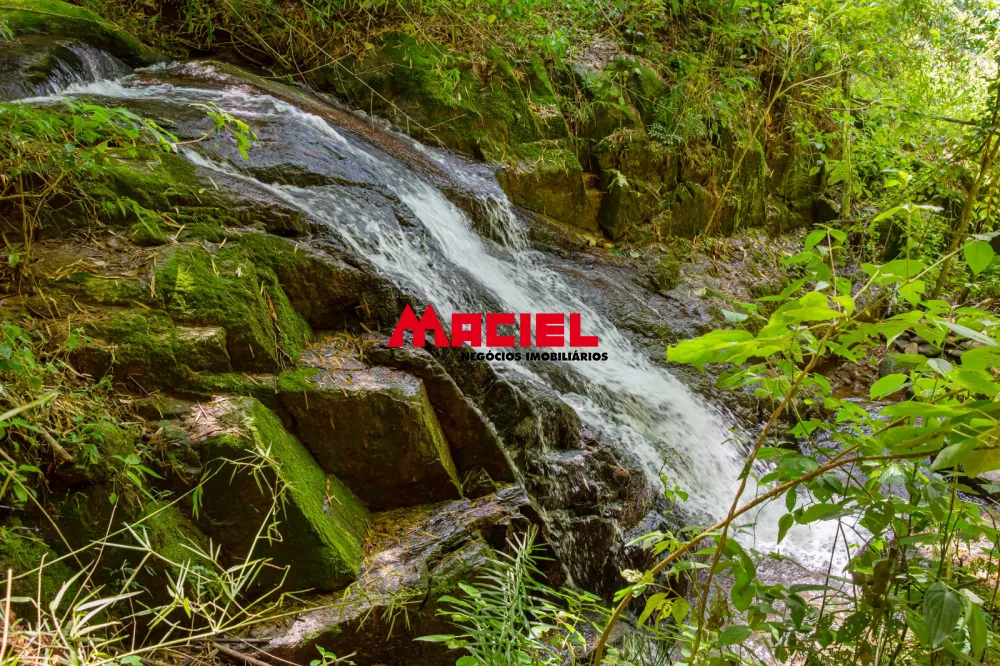 Comprar Rural / S&iacute;tio em S&atilde;o Bento do Sapuca&iacute; R$ 3.500.000,00 - Foto 1