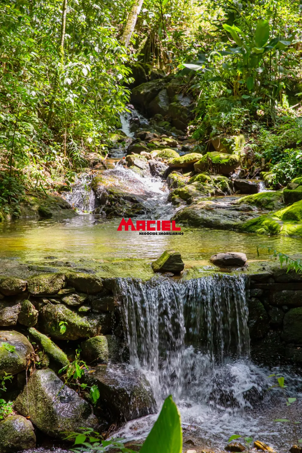 Comprar Rural / S&iacute;tio em S&atilde;o Bento do Sapuca&iacute; R$ 3.500.000,00 - Foto 2