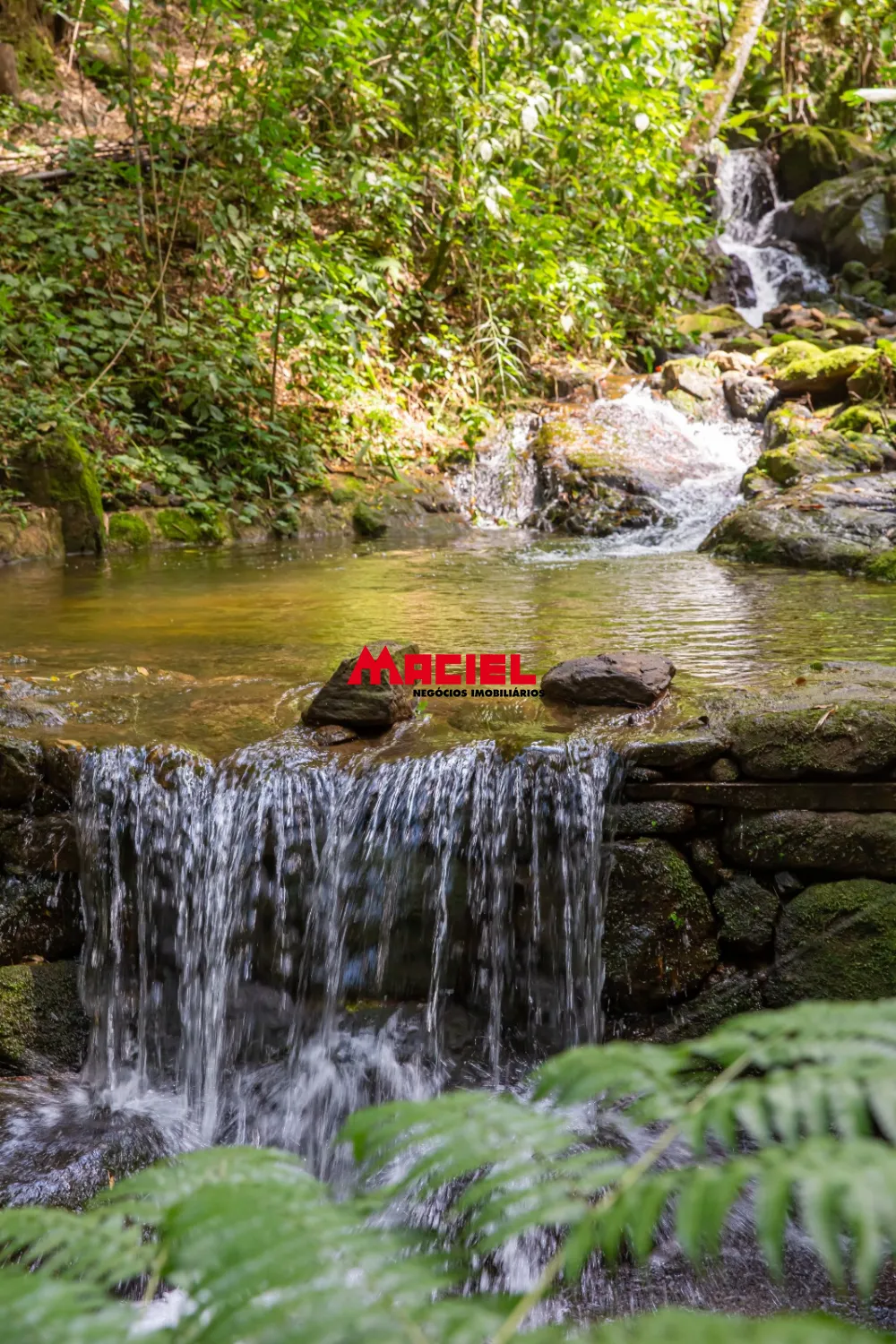 Comprar Rural / S&iacute;tio em S&atilde;o Bento do Sapuca&iacute; R$ 3.500.000,00 - Foto 3