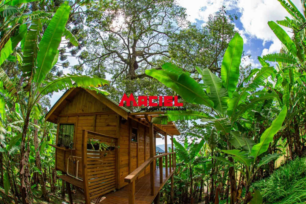 Comprar Rural / S&iacute;tio em S&atilde;o Bento do Sapuca&iacute; R$ 3.500.000,00 - Foto 15