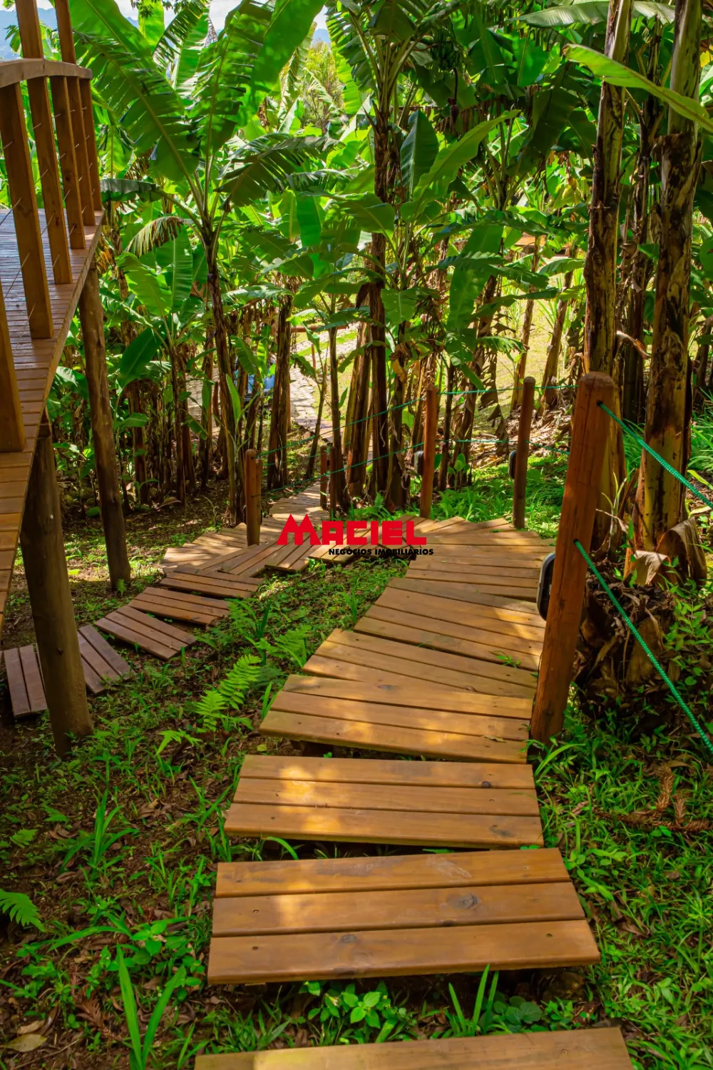 Comprar Rural / S&iacute;tio em S&atilde;o Bento do Sapuca&iacute; R$ 3.500.000,00 - Foto 16